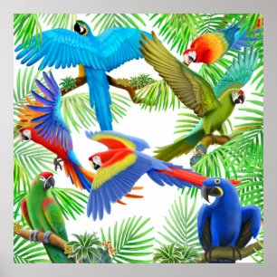 Poster Macaw Oerwoud