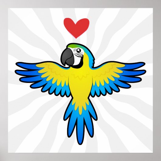 Poster Macaw / Parrot Love (Devant)