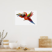Poster Macaw - SRF (Cuisine)