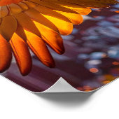 Poster Macaw sur l'affiche horizontale de Rio de Janeiro (Coin)