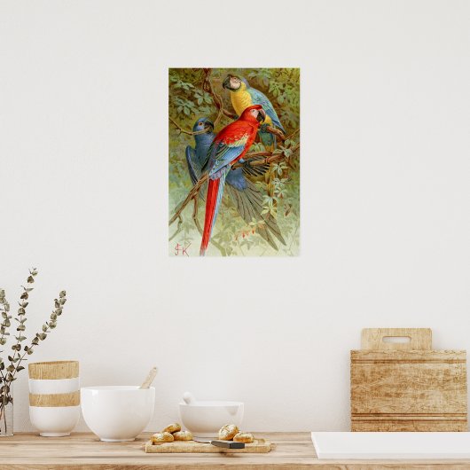 Poster Macaws (Cuisine)