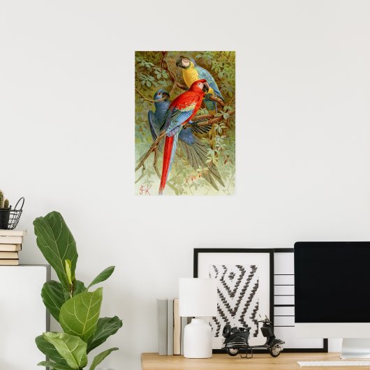 Poster Macaws (Bureau à domicile)