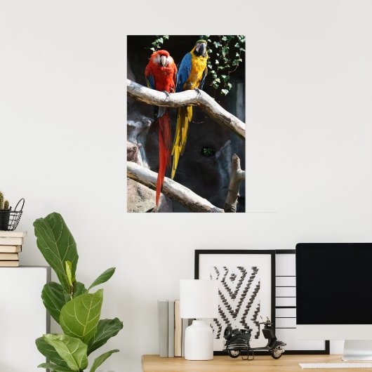 Poster Macaws (Bureau à domicile)