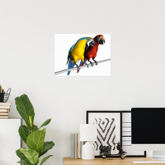 Poster Macaws en amour (Bureau à domicile)