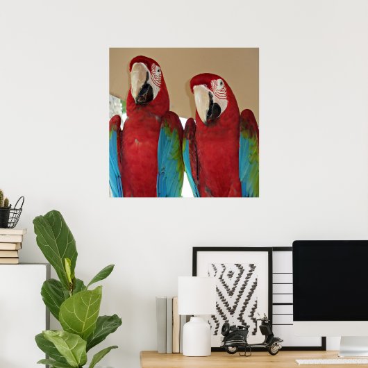 Poster Macaws rouges, bleus, verts (perroquets) (Bureau à domicile)