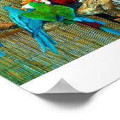 Poster Macaws sur Parade (Coin)