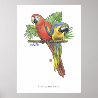 Poster Macaws tropicaux