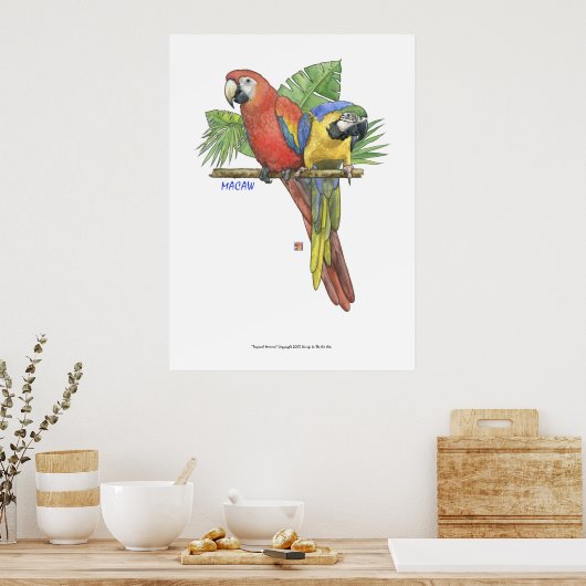 Poster Macaws tropicaux (Cuisine)