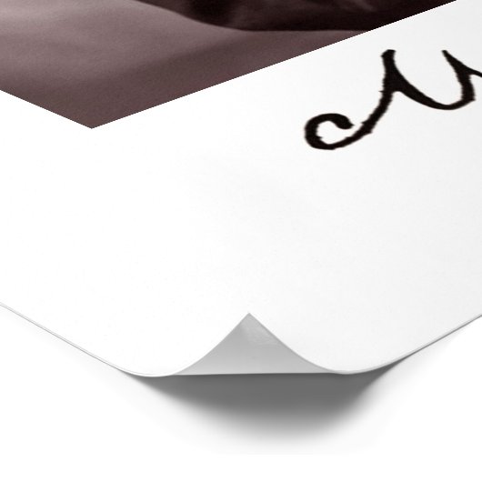 Poster Machado de Assis (Coin)