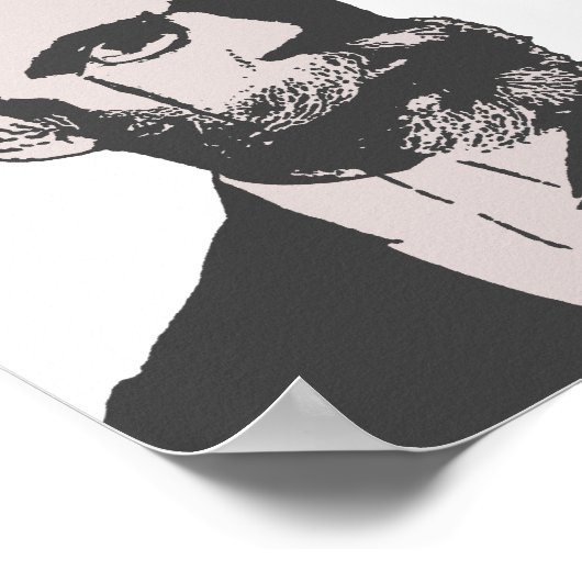 Poster Machado de Assis (Coin)