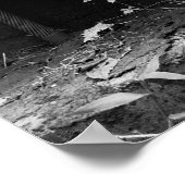 POSTER MACHINE ABANDONNÉE DANS LA FORÊT (Coin)