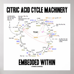 Poster Machines À Cycle D'Acide Citrique Intégrées Dans D