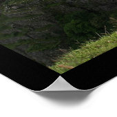 Poster Machu Picchu (Coin)