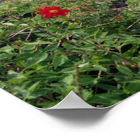 Poster Machu Picchu, Pérou (Coin)