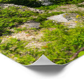 Poster Mackinacs Arch Rock (Coin)