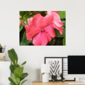 Poster Macro à fleurs Impatiens rose (Bureau à domicile)