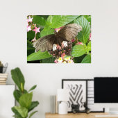 Poster Macro à papillon escarlet Swallowtail (Bureau à domicile)