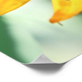 Poster Macro Abstrait à fleurs de Rudbeckia jaune (Coin)