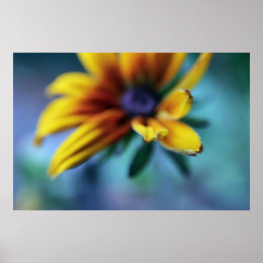 Poster Macro Abstrait à fleurs de Rudbeckia jaune (Devant)