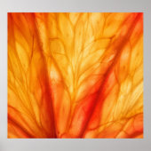 Poster Macro aux agrumes : Orange de sang Abstrait. (Devant)
