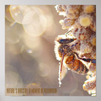 Macro Bee in Bloom : Gros plan sur la pollinisatio