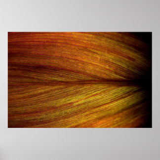 Poster Macro botanique feuille nature texture
