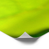 Poster Macro damselfly sur la feuille (Coin)