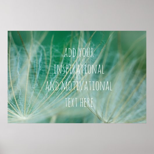 Poster macro Dandelion (Devant)