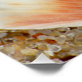 Poster Macro de coquille Saint-Jacques dans le sable sur (Coin)