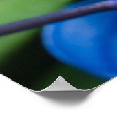 Poster Macro de fleur de perce-neige bleue (Coin)