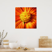 Poster Macro de fleur orange – Photographie de nature vib (Cuisine)