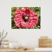 Poster Macro de fleurs de pavot rouge (Cuisine)