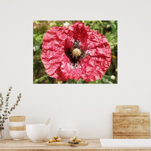 Poster Macro de fleurs de pavot rouge (Cuisine)