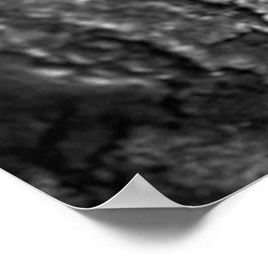 Poster Macro d'écorce d'arbre noir et blanc (Coin)