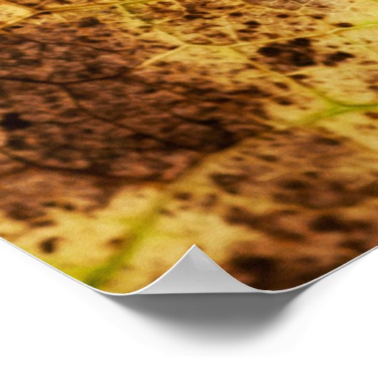 Poster Macro-feuille Jaune et Mort Brown (Coin)