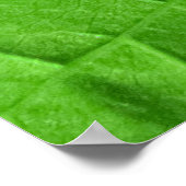 Poster Macro feuille verte : Plante écologique (Coin)