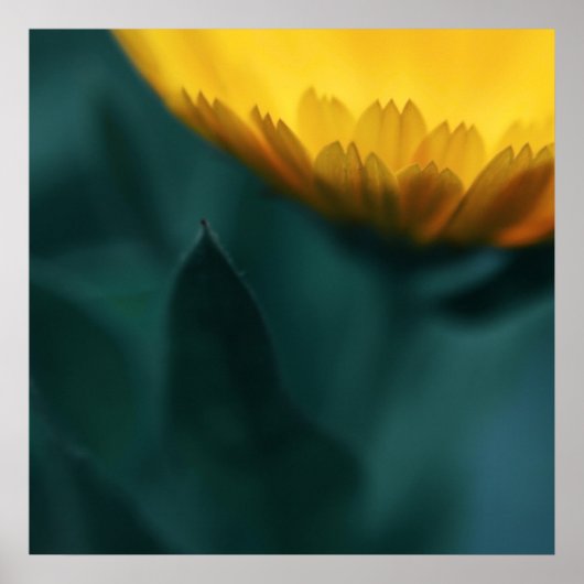 Poster Macro Fleur Mariglod Jaune Abstraite (Devant)