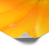 Poster Macro-impression de Souci Orange (Coin)