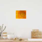 Poster Macro-impression de Souci Orange (Cuisine)