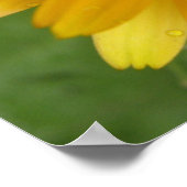 Poster Macro Marigold jaune à imprimer (Coin)