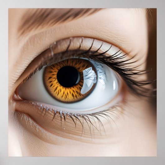 Poster Macro oeil femelle (Devant)