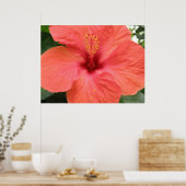 Poster Macro Orange Hibiscus Flower Imprimer (Cuisine)