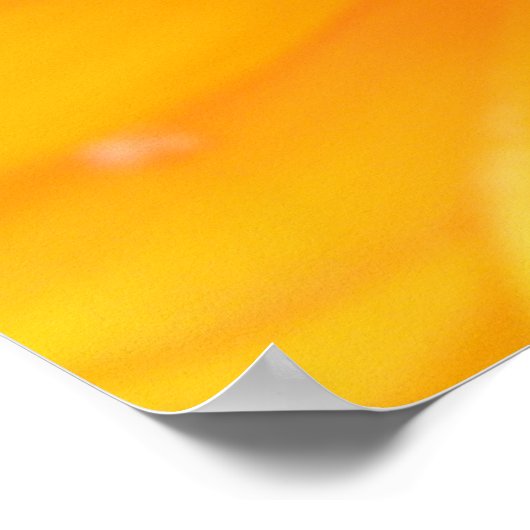 Poster Macro orange Marigold (Coin)