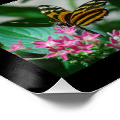 Poster Macro papillons - élargissement de la photo (Coin)