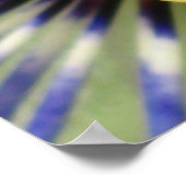 Poster Macro Passion (Coin)