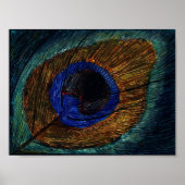 Poster Macro plume de paon (Devant)