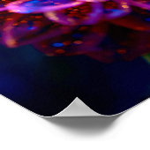 Poster Macro Reverie Dream (Coin)