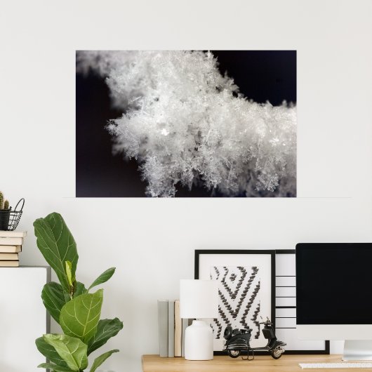 Poster Macro Snowflake (Bureau à domicile)