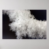 Poster Macro Snowflake (Devant)