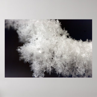 Poster Macro Snowflake